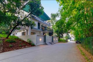 Everest Green - 9