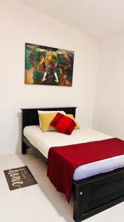Wild Olive Tree Hostel - 3