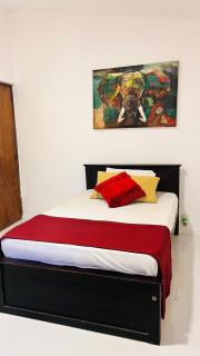 Wild Olive Tree Hostel - 2