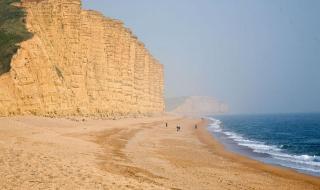 Little Boutique Club - Bridport - 4