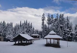 Yash Homestay - 6