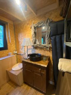 La tiny house du jardin - 4