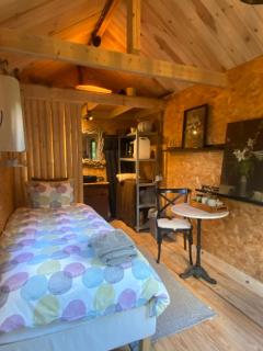 La tiny house du jardin - 1