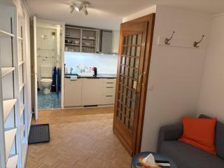 Nice 30 m2 studio, Geneva city center - 9