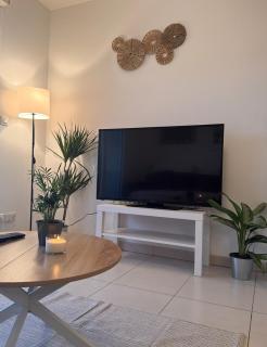 Cozy apartment - 3