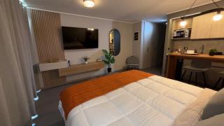 Moderno boutique estudio Movistar Arena - 8