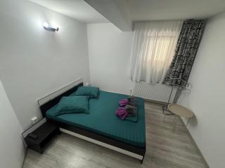 Garsoniera Casa Dragoeni, Targu Jiu - 5