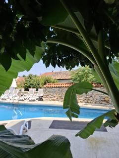 Villa Konak Hotel - 7