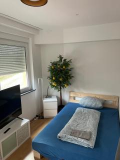 Privatzimmer nähe Residenz und Innenstadt - 3