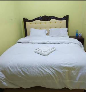 Landmarino hotel Meru - 1