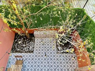 Charming Garden Apt - Near Nişantaşı - 1BR - 6