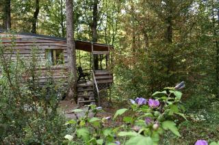 La cabane aux écureuils - 2