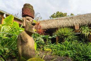 Hotel Hotu Matua by EI - 2