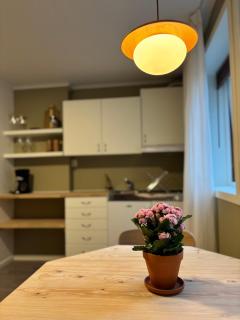 Studio North Hygge - Your Warm Corner in Tromsø - 6