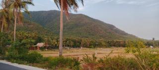 welas asih homestay karimunjawa - 8