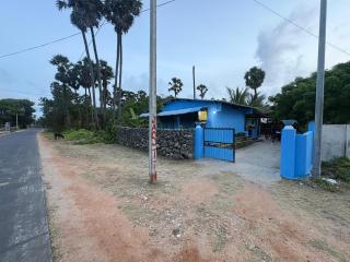 NT Homestay Delft - 3