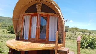 Olaabai Maasai - Mara Simba - 9