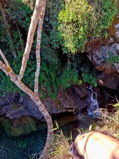Lavender Chalet Waterfalls and nature - 3