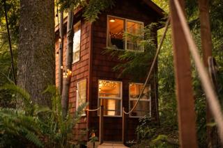 Treehouse Place at Deer Ridge Featured top 10 USA - 1