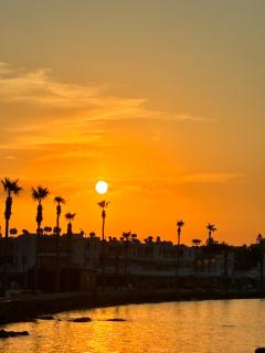 Harbour Shores 1 - 9