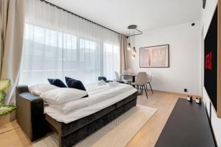 The Arctic Dream Escape With High Standard & Central Location - 2