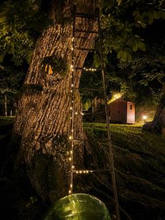 Il Bosco di Paolo - Glamping - 9