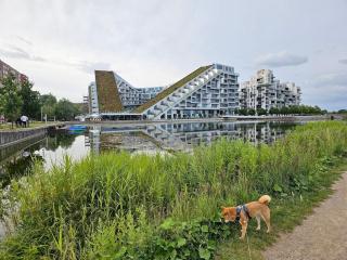 Exclusive apartment in the iconic 8-House - 3