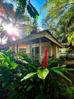 Bungalow Terra Sarramea - Sarraméa - 8