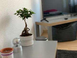 Ferienwohnung nahe Innenstadt - 2