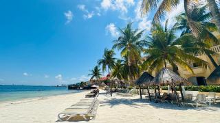 Caribbean apartment - 0