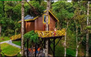 Pousada Paraiso das Araucárias Monte Verde - 8