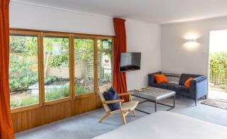Shy Cottage - Greytown - 1