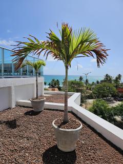 Nixxus 50m da praia no coração da vila e de frente para as piscinas naturais by BLU stay - 9
