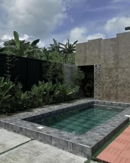 Private Resort in San Jose Batangas - Lilpad Villa - 6