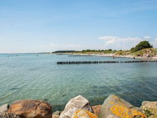 Møn - Klintholm Harbour - Borre - 4