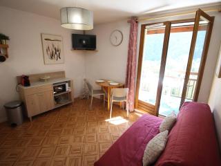 Appartement calme avec parking, animaux OK - 4 pers, vue montagne - FR-1-313-252 - 0