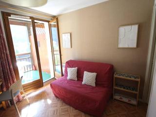 Appartement calme avec parking, animaux OK - 4 pers, vue montagne - FR-1-313-252 - 3