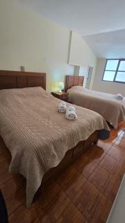 CASA ALBA Hostal - 1