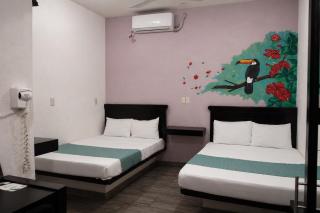 HOTEL LOS PINOS CENTRO - 5