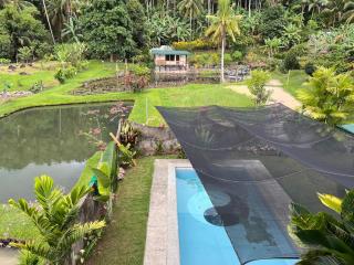 Nancys Fishpond Cabin - 4