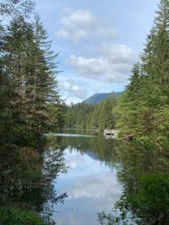Lynn Valley Getaway - Cedar to City in minutes - 2