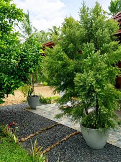 Luxury villas Bentota - 1