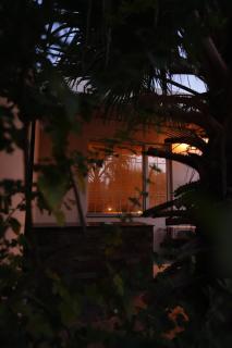 The Elysian Villa 1,1BHK, 2Kanal Area - 9