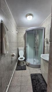 Pensiunea Casa Bosneanu - 1