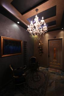 The Elysian Villa 1,1BHK, 2Kanal Area - 2