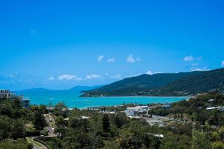 Airlie Nights - 4