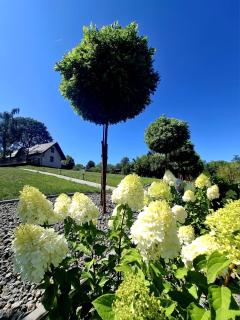 Nadrzeczna Dolina - 8