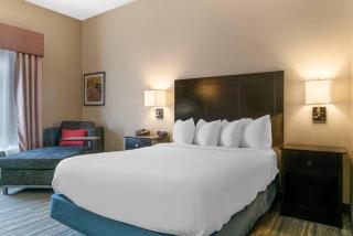 Comfort Inn & Suites Toledo North - 5