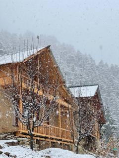 Cedar Shade Cottage Jibhi - 9