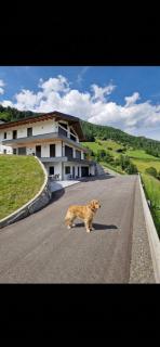 Apartment Talblick - 2